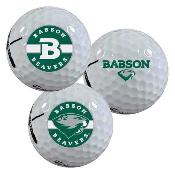 Babson College Beavers Logo Edition Taylormade Distance  Golf Balls 12-Pack (Dozen)
