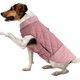 thumbnail image 1 of Abrigo para perros, chaqueta impermeable y cálida, abrigos de invierno para perros, chaleco para cachorros para clima frío, ropa para exteriores a prueba de viento, chaquetas de nieve para, 1 of 6