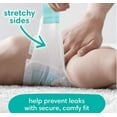 thumbnail image 6 of Pampers Baby Dry Daytime Diapers, Size 7, 112 Count, 6 of 6