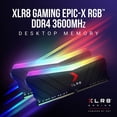 thumbnail image 4 of Memoria PNY XLR8 Gaming 32 GB (2 x 16 GB) DDR4 3600 MHz RGB, 4 of 9