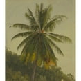 thumbnail image 3 of Frederic Edwin Church 12x14 Black Modern Framed Museum Art Print Titled - Palm Trees, West Indies (1865), 3 of 5