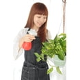 thumbnail image 4 of American Plant Exchange Marble Queen Pothos Hanging Basket, 8-Inch Pot, Live Vining Houseplant, Perfect for Patios and Porches, 4 of 6