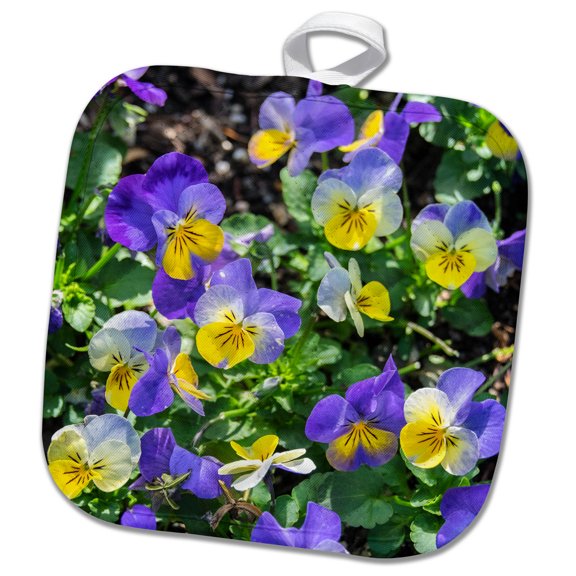 3dRose, Pansy in garden., 8x8 Potholder