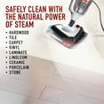 Hoover Steam Complete Pet Steam Mop, WH21000