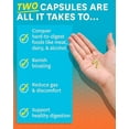 thumbnail image 4 of Zenwise No Bloat, Probiotics Digestive Enzymes Herbal Supplement Travel Size 14ct, Gas & Bloat Relief, 4 of 6