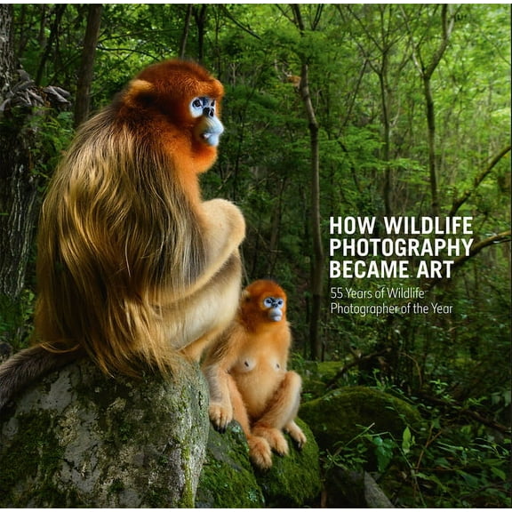 Wildlife Photographer of the Year How Wildlife Photography Became Art: 55 Years of Wildlife Photographer of the Year, (Hardcover)