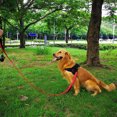 thumbnail image 3 of Correa para perros grandes o medianos Correa reflectante de entrenamiento con doble asa, 3 of 5