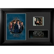 Fantastic Beasts Minicell S2 Film Cell Presentation