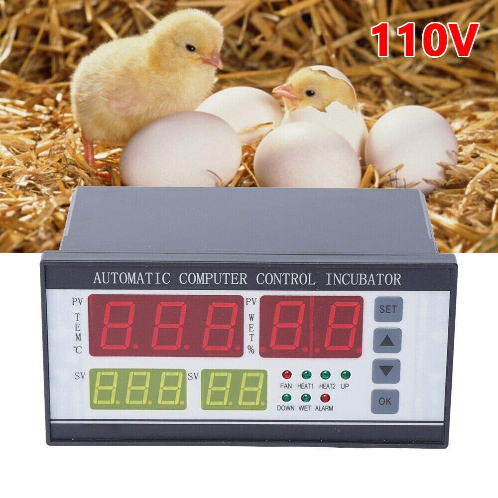 Датчик температуры яйца Egg sensor. Датчик на яйцо. Automatic Computer Control incubator WIFI. Датчик на яйцо в инкубаторе купить.