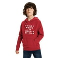 thumbnail image 3 of I'm Not Weird I Am Limited Edition Funny Sayings Hoodie Pullover Hoodie Red Child Boys Hoodie, 3 of 6