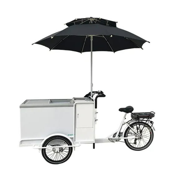 Electric Ice Cream Tricycle with 41-Gallon Capacity – Mobile Dessert Delight