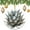 pattern-2292, variant on Christmas Ornaments Watercolor Botanical Leaf Funny Christmas Ornaments Succulent Plants Ornament Hanging Ornaments for Christmas Tree Decoration Xmas Day Home Party Decorations