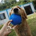 thumbnail image 3 of 1 PCS Squeaky Dog toy ball TPR Vocal pointy dog ball Puppy toy spiky ball, 3 of 9