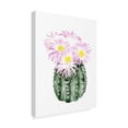 thumbnail image 2 of Trademark Fine Art 'Cactus Bloom I' Canvas Art by Grace Popp, 2 of 4