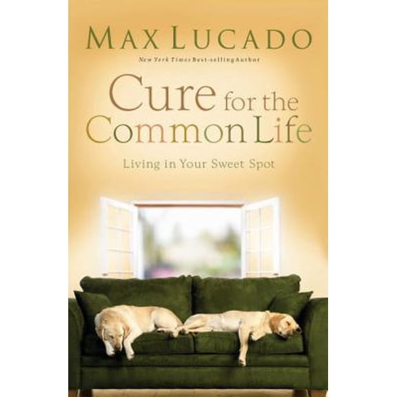 Pre-Owned CURE FOR THE COMMON LIFE (Paperback) 0849919096 9780849919091