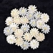 Frost Paper Flowers 1" 24/Pkg-Canson #1, Pk 3, Prima Marketing
