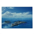 thumbnail image 2 of Sea Animals Cutting Board, Dolphins Jumping in Clear Sea and Fluffy Clouds in Sky Marine Life Photograph, Decorative Tempered Glass Cutting and Serving Board, Large Size, Blue White, by Ambesonne, 2 of 5