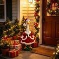 thumbnail image 5 of AYktou Christmas Goose Outfit Set, Christmas Tree Porch Goose Costumes for 23 Inch Cement, Cute Lawn Goose Clothing with Hat, Yard Goose Clothes Dress for Xmas Holiday Entrance Garden Patio Decor, 5 of 9