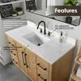 thumbnail image 5 of Bellavia 48" Wood Vanity in Weathered Fir Engineered Stone Top no Mirror, 5 of 12