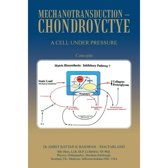 Mechanotransduction - Chondroyctye: A Cell Under Pressure (Paperback)