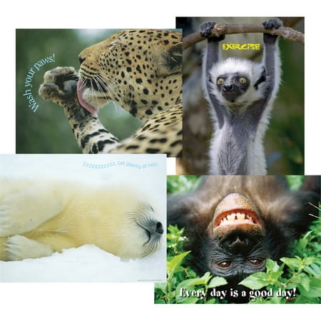 UPC: 0704068005150 | Barker Creek National Geographic Chart Set (LL557)