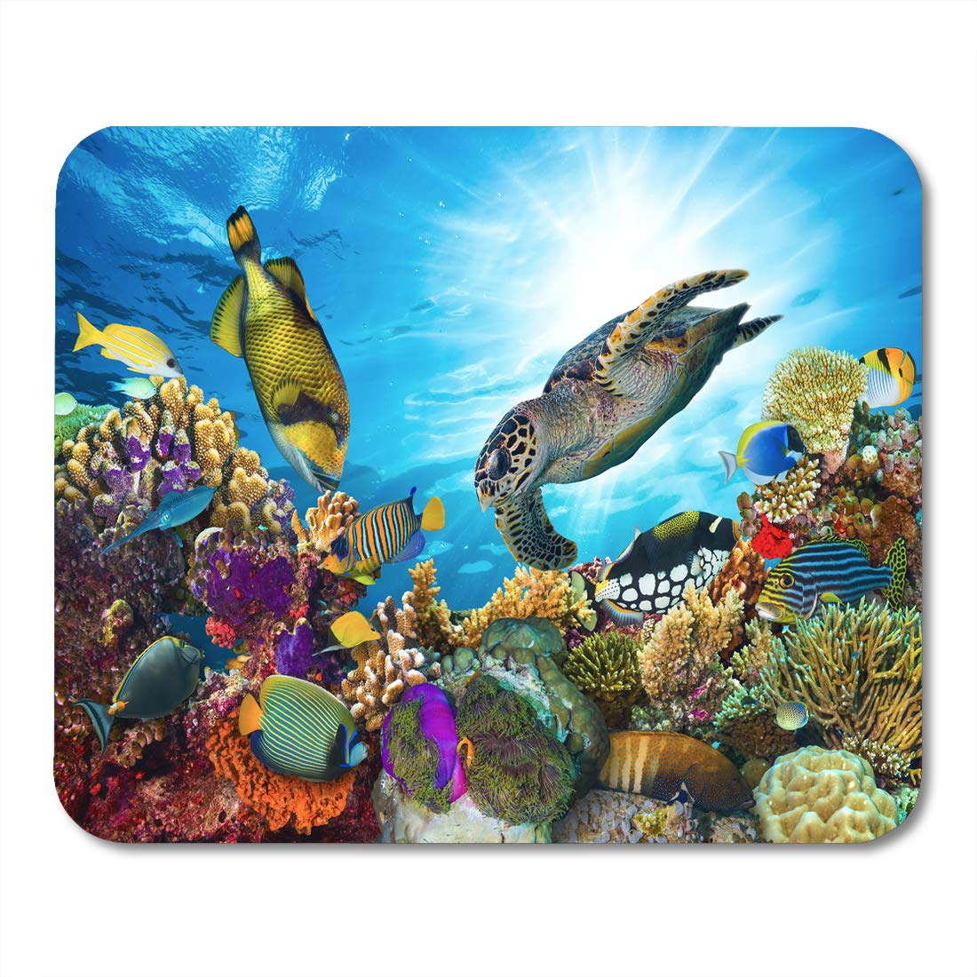 Poglip Blue Fish Colorful Coral Reef Many Fishes And Sea Turtle Red Underwater Hawaii Mousepad Mouse Pad Mouse Mat 9x10 Inch Walmart Canada