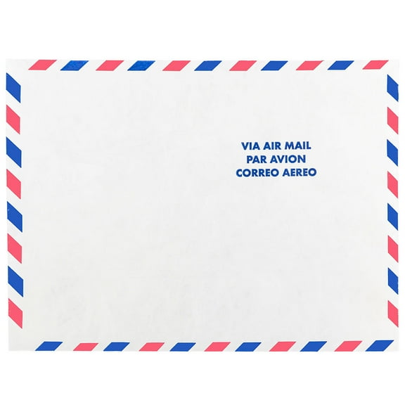 JAM Paper Tyvek Tear-Proof Open End Catalog Envelopes, 9 x 12, White Airmail, 10/Pack
