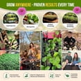 thumbnail image 5 of Organo Republic - 20 Culinary Herb & Edible Flower Seeds Varieties - 9955+ Non GMO Heirloom Seeds, 5 of 6