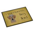 thumbnail image 1 of ""Caroline'S Treasures Bb1481Mat Perro Salchicha De Pelo Duro Mimado Perro Vive Aquí Tapete Para Interiores O Exteriores 18 X 27"""" Multicolor"", 1 of 1
