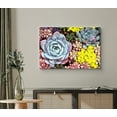 thumbnail image 2 of wall26 Canvas Wall Art A Bouquet of Lola Echeveria Succulent with Yellow Flowers Botanical Plants Photography Modern Art Farmhouse/Country Colorful for Living Room, Bedroom, Office - 32x48 inches, 2 of 4