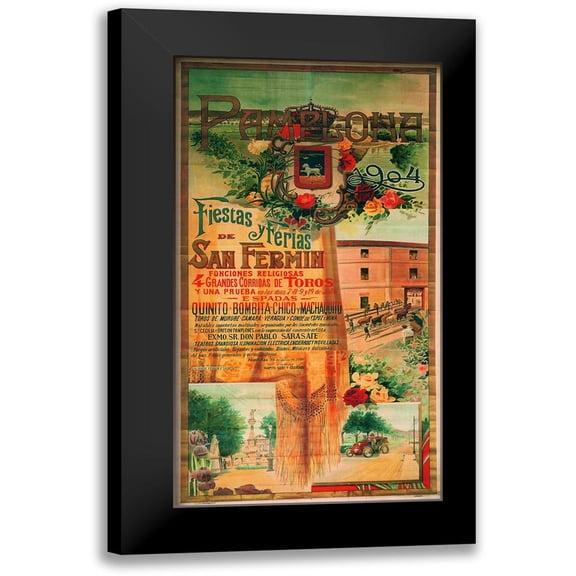 Vintage Apple Collection 9x14 Black Modern Framed Museum Art Print Titled - Pamplona IX