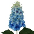 thumbnail image 4 of (3 pack) Mainstays 29" Artificial Blue Hydrangea Stem, Indoor Use., 4 of 10