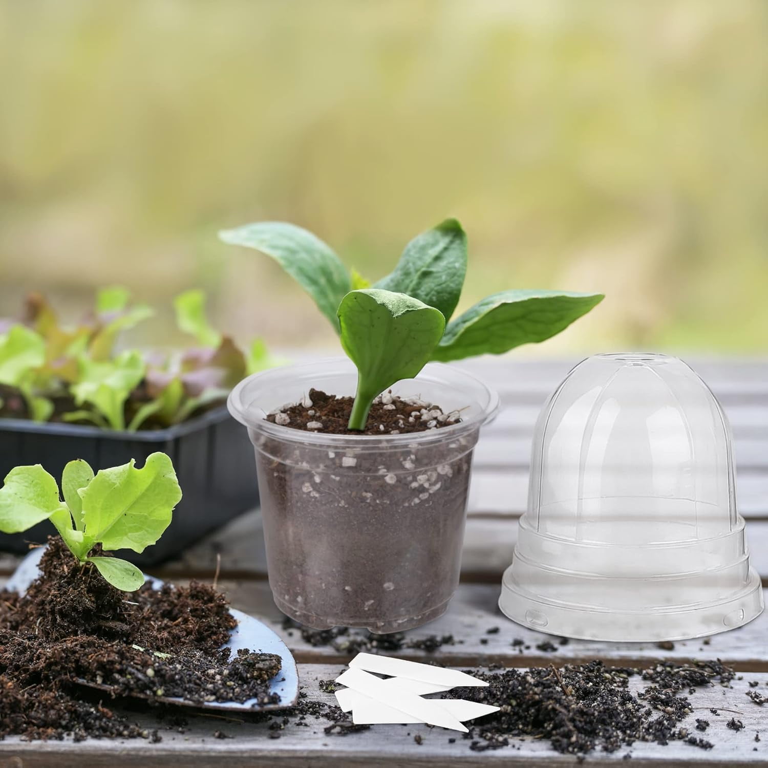 10 Packs 3.5 Inch Plant Nursery Pots with Humidity Dome Plastic Planters Gardening Flower Plant Pots Seed Starting Pots for Seedling Indoor Outdoor Garden