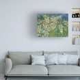 thumbnail image 2 of Trademark Fine Art Vincent van Gogh Blossoming Chesnut Branches Canvas Wall Art - 35x47, 2 of 5