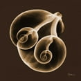 thumbnail image 3 of Koetsier, Albert 20x20 Black Modern Framed Museum Art Print Titled - Fig Shells F140, 3 of 5