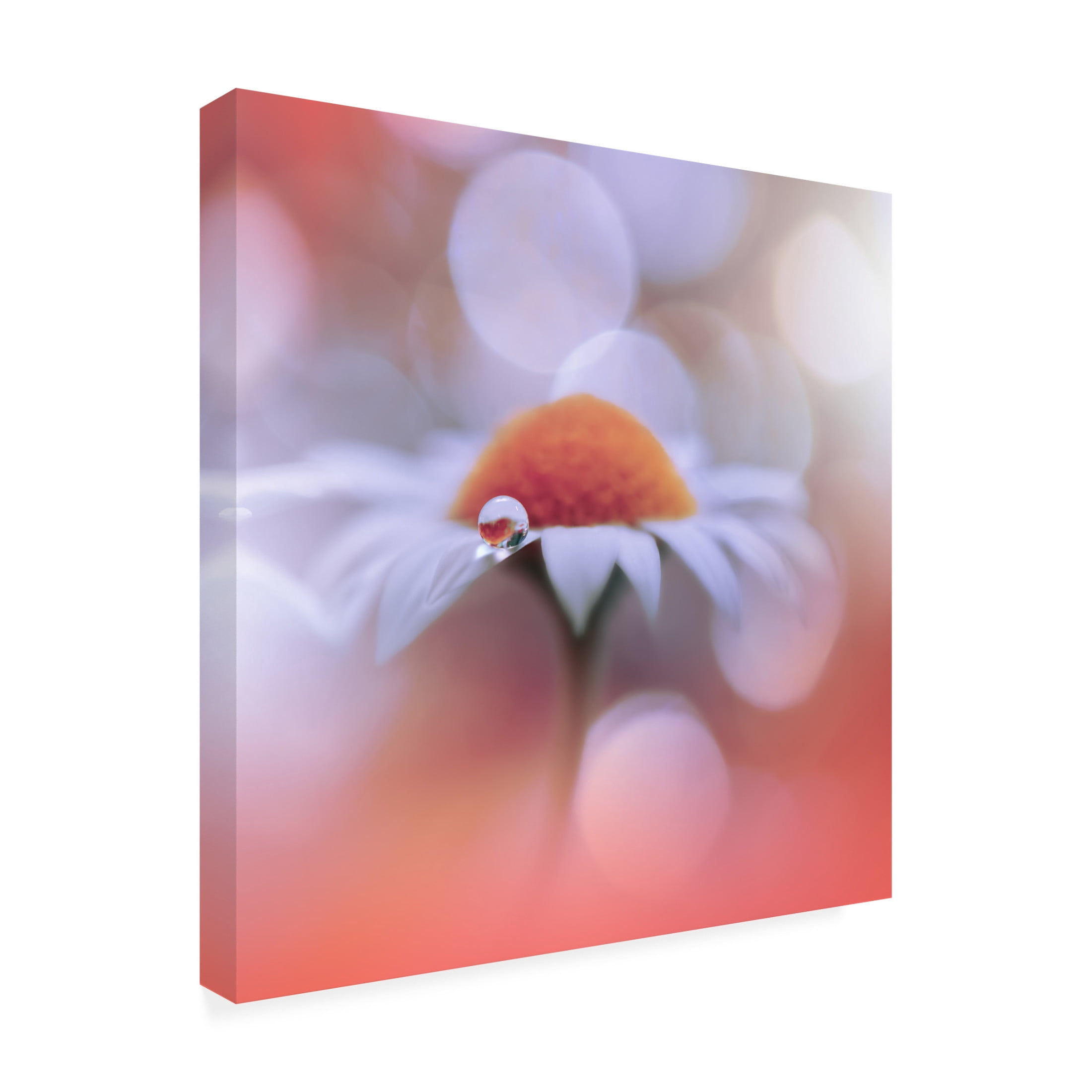 Trademark Fine Art Juliana Nan Summer Mood.. Canvas Wall Art