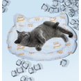 thumbnail image 5 of Esterilla refrescante de verano para mascotas, almohadilla de Gel frío, cómoda para chien Chat Chiot, 5 of 5