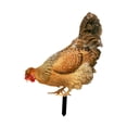thumbnail image 3 of Estacas de jardín en forma de gallina, estatuilla acrílica, decoración de jardín, escultura Animal fácil de usar, estatua de gallina para valla de Estilo B, 3 of 8