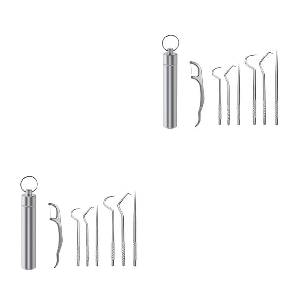 Cateissary Palillo de Limpieza de de viaje Selección Barbacoa Fruta Tenedor Reutilizable Lavable Multifuncional Flosser Flosser con Type1 NO1 Cateissary CBP259795