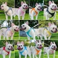 thumbnail image 2 of Zoowhale 2pcs Adjustable Pet Harness & Leash Set, Breathable Mesh Cat Harness with Leash, Pet Supplies for Outdoor Walking, Universal Harness, Safety Harness Straps (Pink, M), 2 of 5