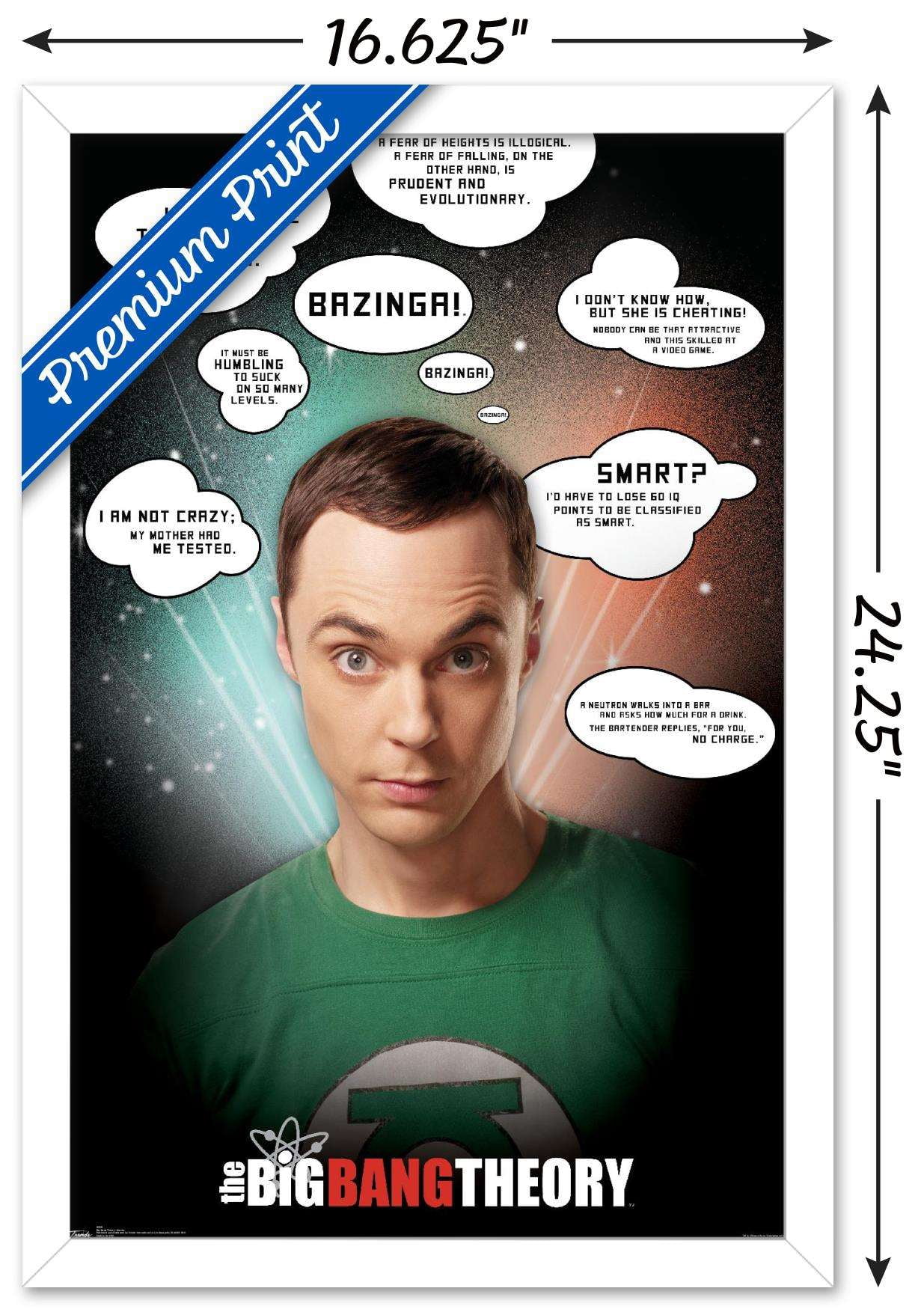 The Big Bang Theory - Quotes Wall Poster, 14.725" x 22.375", Framed