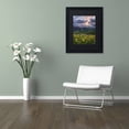 thumbnail image 3 of Trademark Fine Art "Awakening" Canvas Art by Michael Blanchette Photography Black Matte, Black Frame, 3 of 4