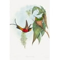 thumbnail image 2 of Gould, John 13x18 Black Ornate Wood Framed with Double Matting Museum Art Print Titled - Topaza pyra-Fairy Topaz, 2 of 4