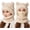 Beige, variant on Bear Hat Ski Mask for Adult, 3-in-1 Winter Fleece Beanie Hat with Hood and Scarf, Cute Bear Knit Head Cover for Cold Weather