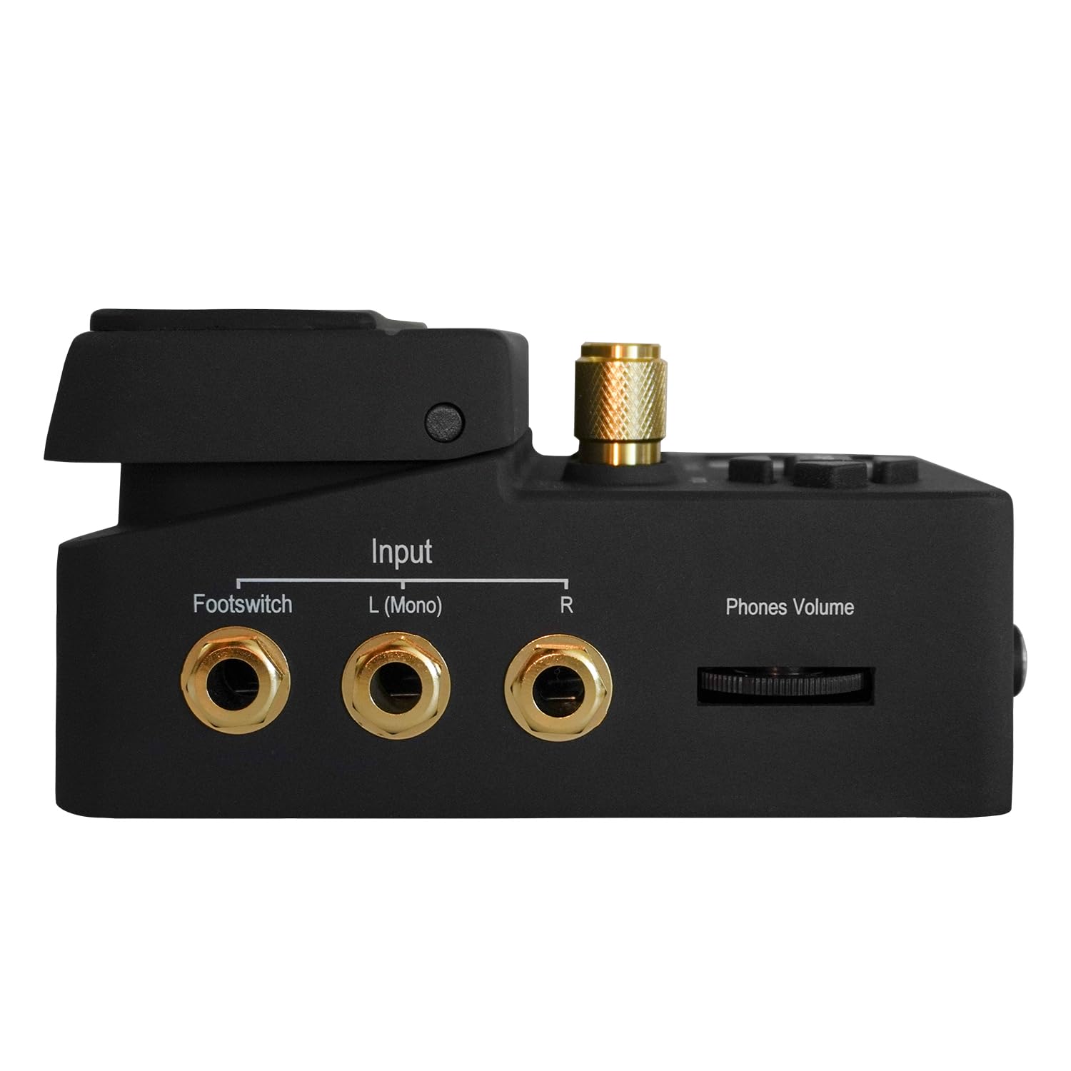 Singular Sound BeatBuddy 10th Anniversary Edition The Only Drum Machine Sounds Human and Easy to Use