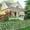 Green, variant on Artificial Ivy Artificial Ivy Fence 77 Inch Expandable Privacy Screen Stretchable Hedges Uv Resistant Backyard Divider Wall Greenery Cover Decor Privacy Fence