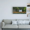 thumbnail image 3 of Trademark Fine Art 'Water Music Flowers' Canvas Art by Chuck Burdic, 3 of 3