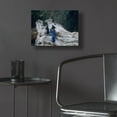 thumbnail image 5 of Epic Art 'Driftwood 2' by Ron Parker, Acrylic Glass Wall Art, 16"x12", 5 of 8