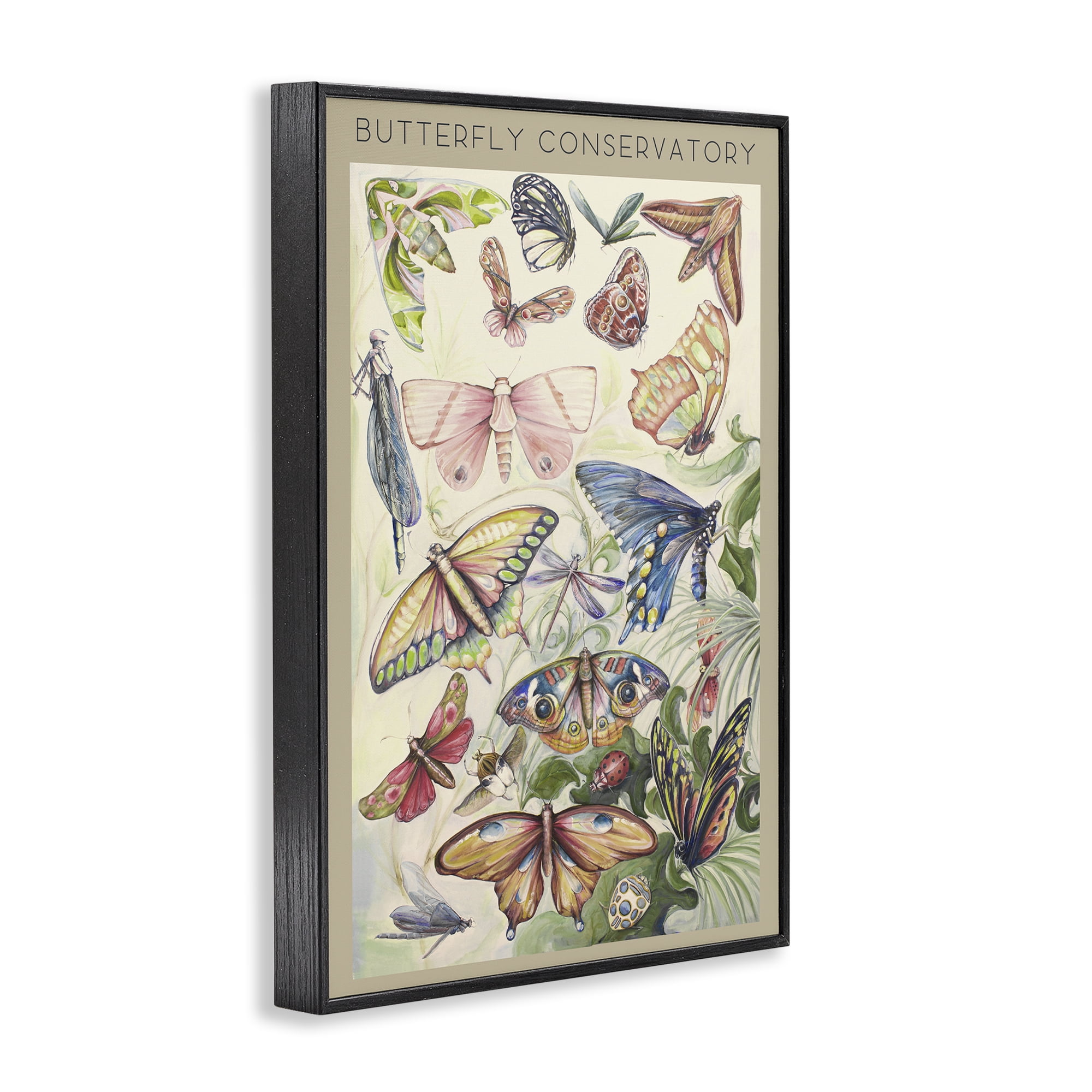 Stupell Industries Butterfly Conservatory Insects Black Framed Giclee Art, design by Diannart