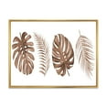 thumbnail image 1 of Designart Tropical Monstera and Palm Leaf In Terracotta FLOAT FRAME WALL ART, 1 of 4